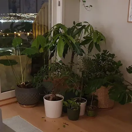 Private Room, Tomasjord - 特罗姆瑟