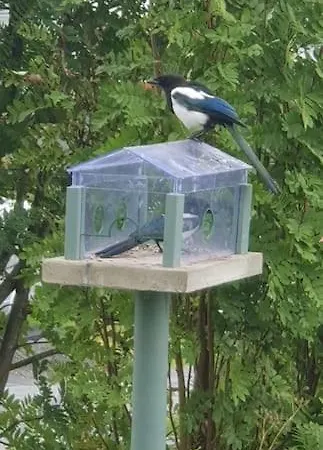 Private Room, Tomasjord - *