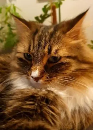 Private Room, Tomasjord -