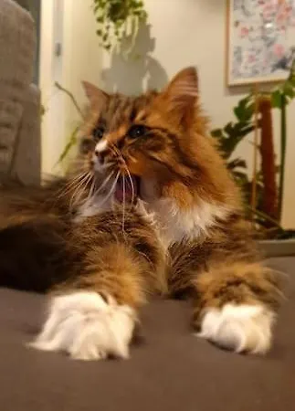 Private Room, Tomasjord - شقة *